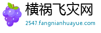 横祸飞灾网